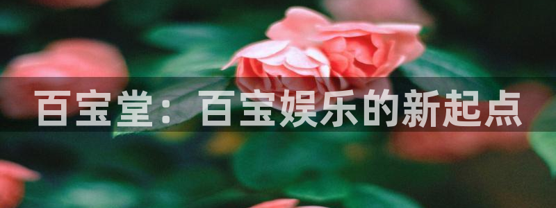 庄闲和游戏官网