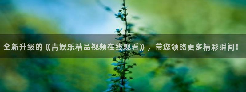 庄闲和游戏官网