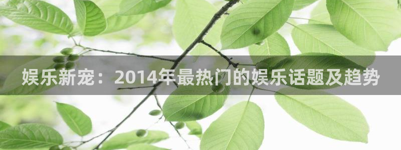 庄闲和游戏官网