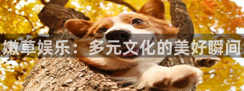 庄闲和游戏官网