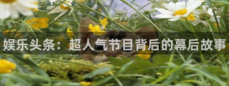 庄闲和游戏官网